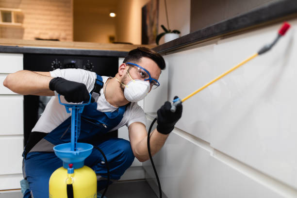 Best Affordable Pest Control Services  in Richmond Hill, GA