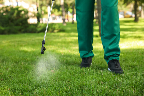 Best Best Pest Control Companies  in Richmond Hill, GA